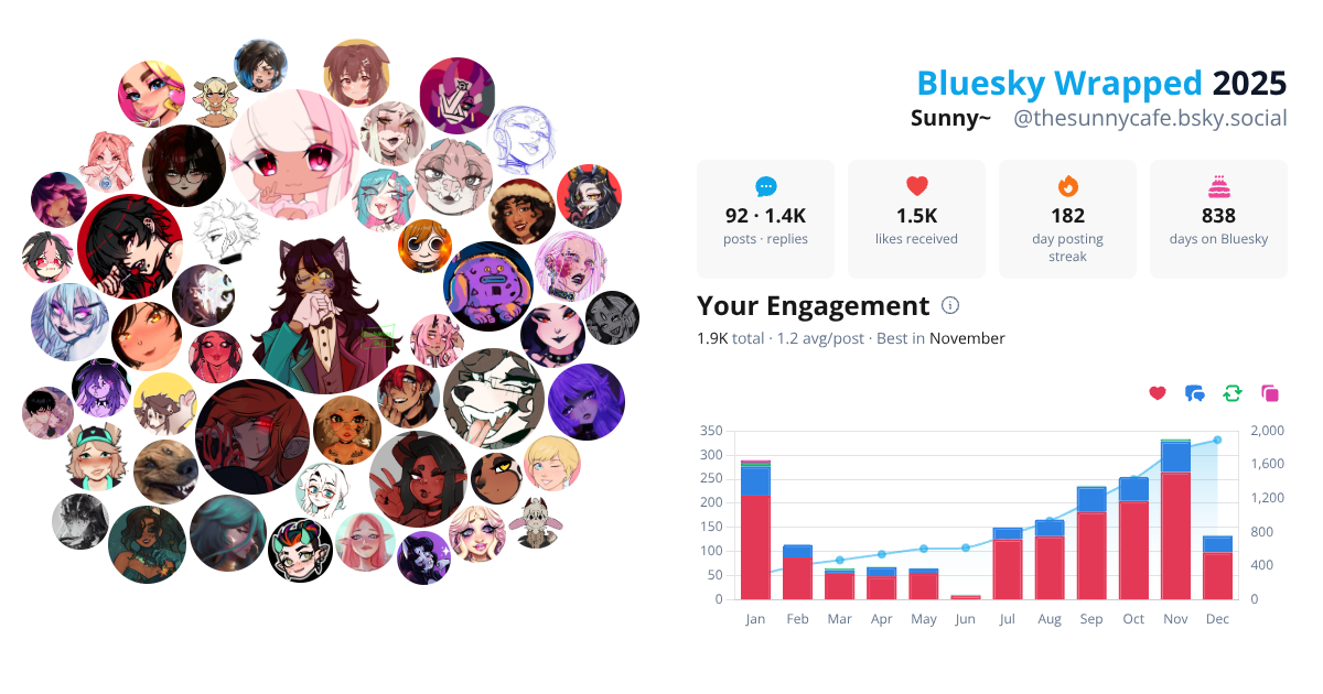Your Bluesky Wrapped 2025 preview