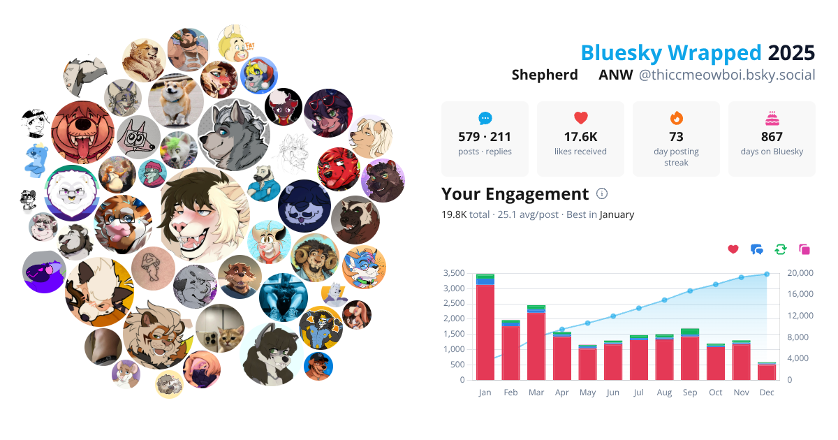 Your Bluesky Wrapped 2025 preview