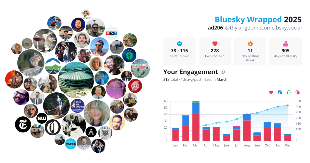 Your Bluesky Wrapped 2025 preview