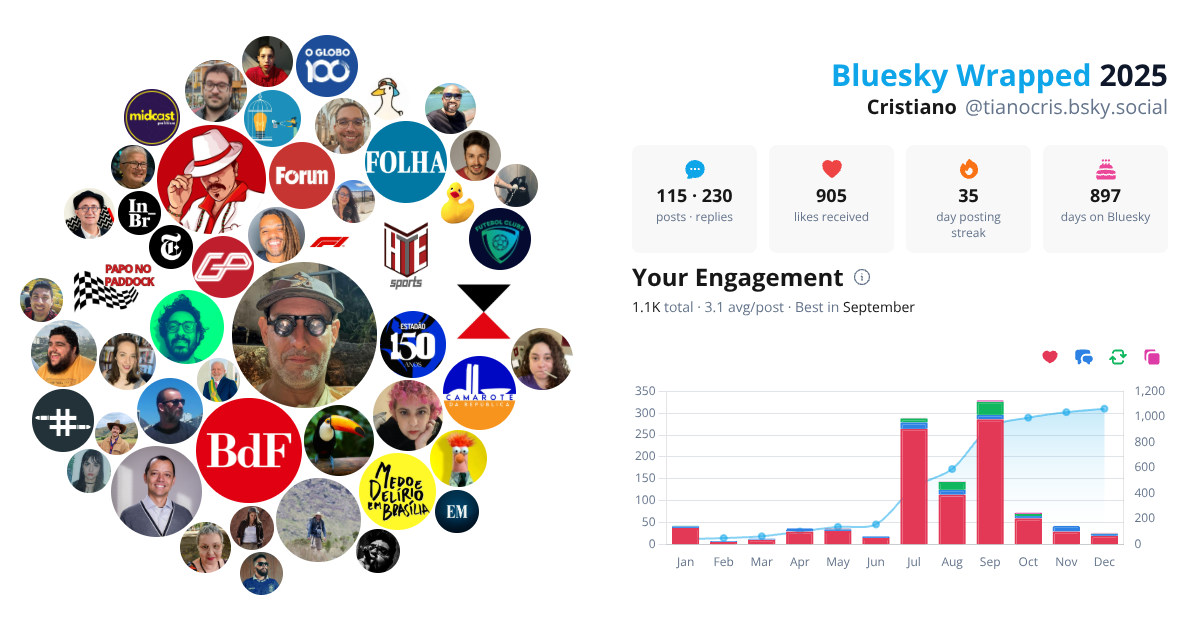 Your Bluesky Wrapped 2025 preview