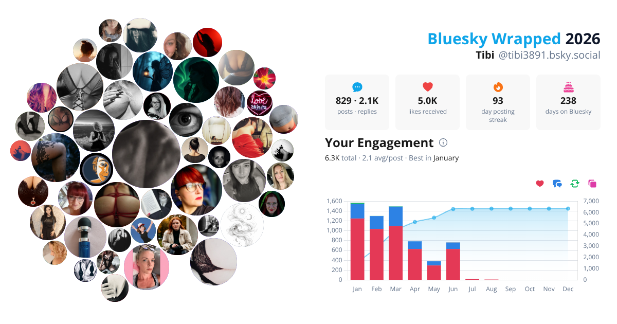 Your Bluesky Wrapped 2026 preview