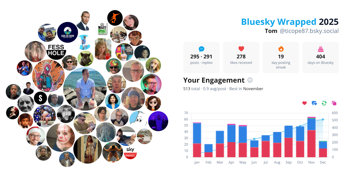 Your Bluesky Wrapped 2025 preview