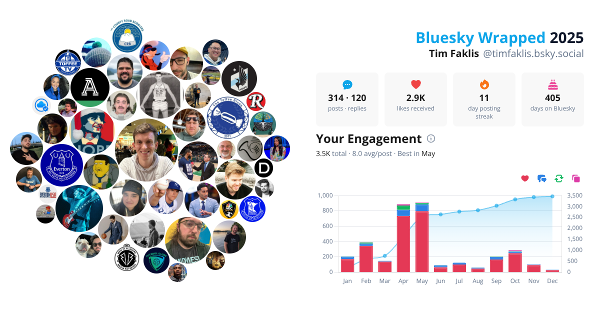 Your Bluesky Wrapped 2025 preview