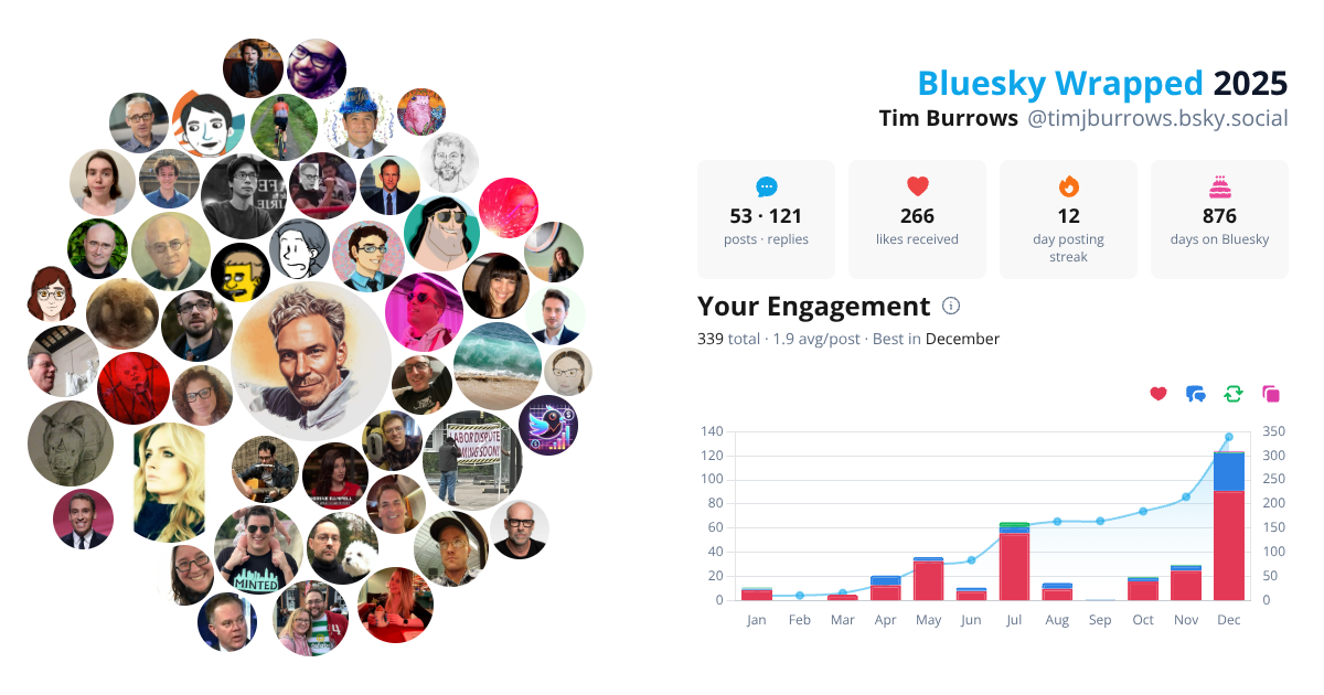 Your Bluesky Wrapped 2025 preview