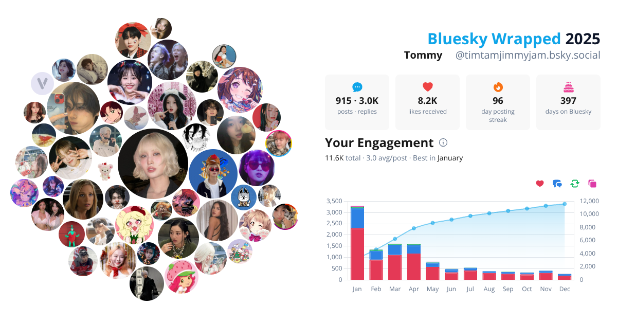 Your Bluesky Wrapped 2025 preview