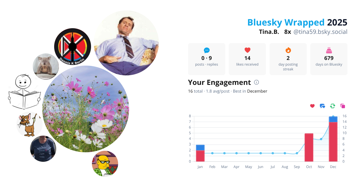 Your Bluesky Wrapped 2025 preview