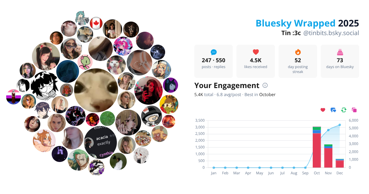 Your Bluesky Wrapped 2025 preview