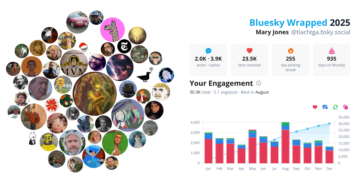 Your Bluesky Wrapped 2025 preview