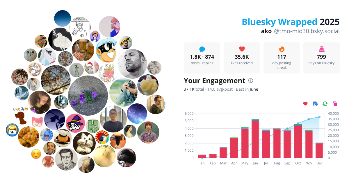 Your Bluesky Wrapped 2025 preview