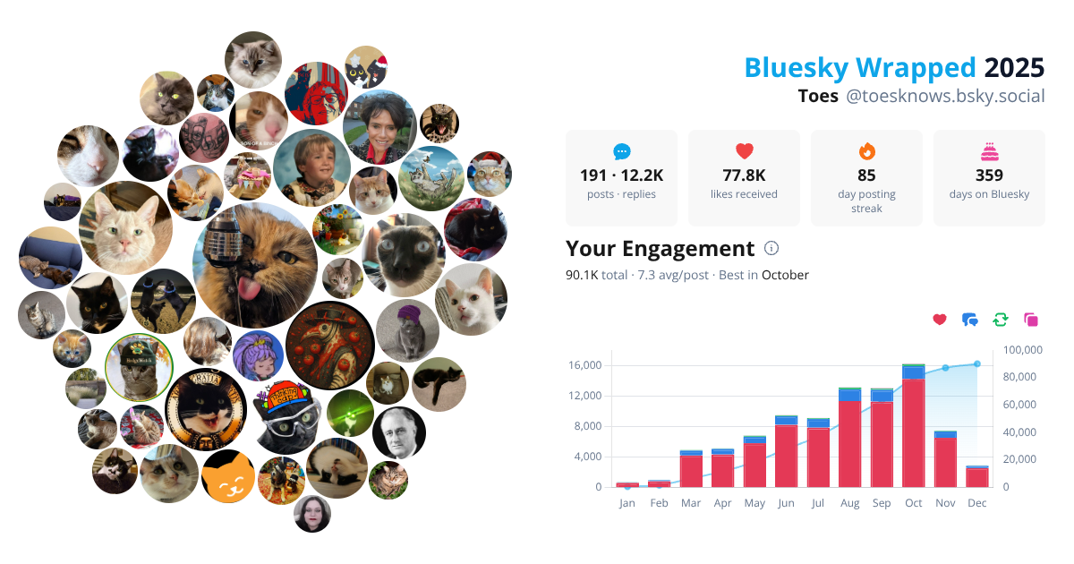 Your Bluesky Wrapped 2025 preview