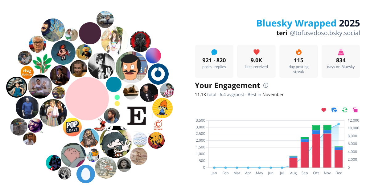 Your Bluesky Wrapped 2025 preview