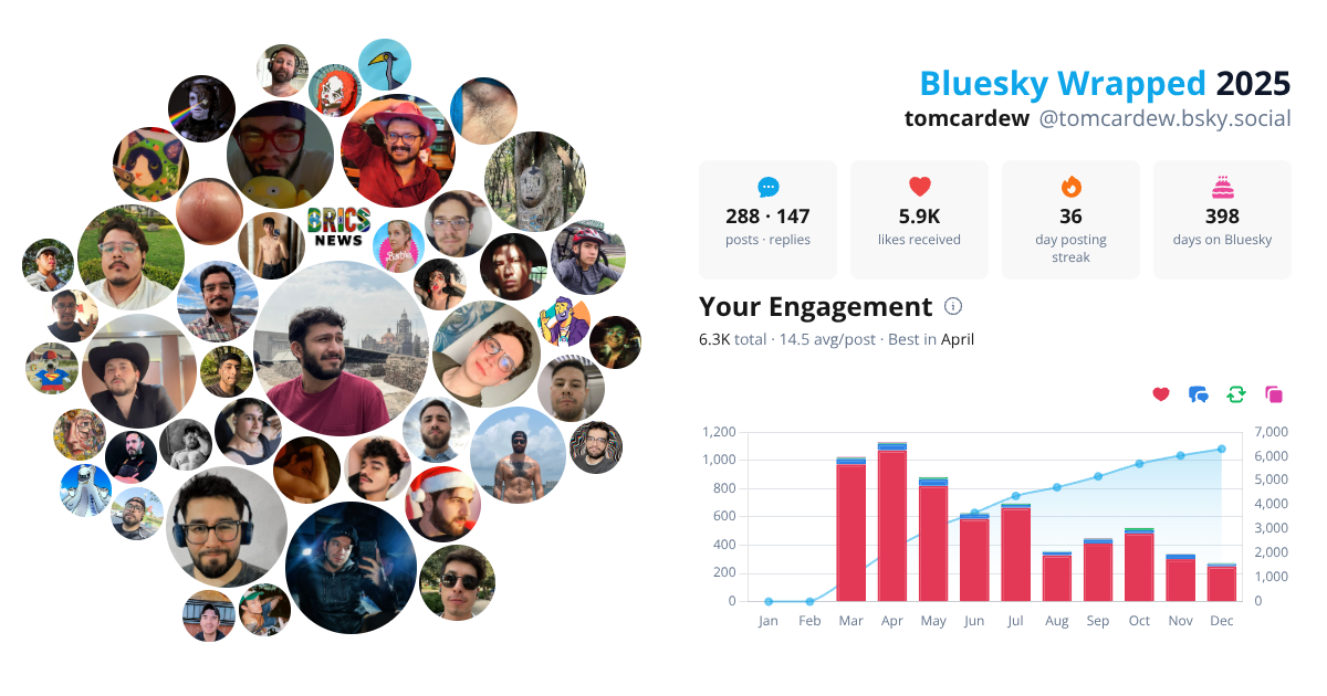 Your Bluesky Wrapped 2025 preview
