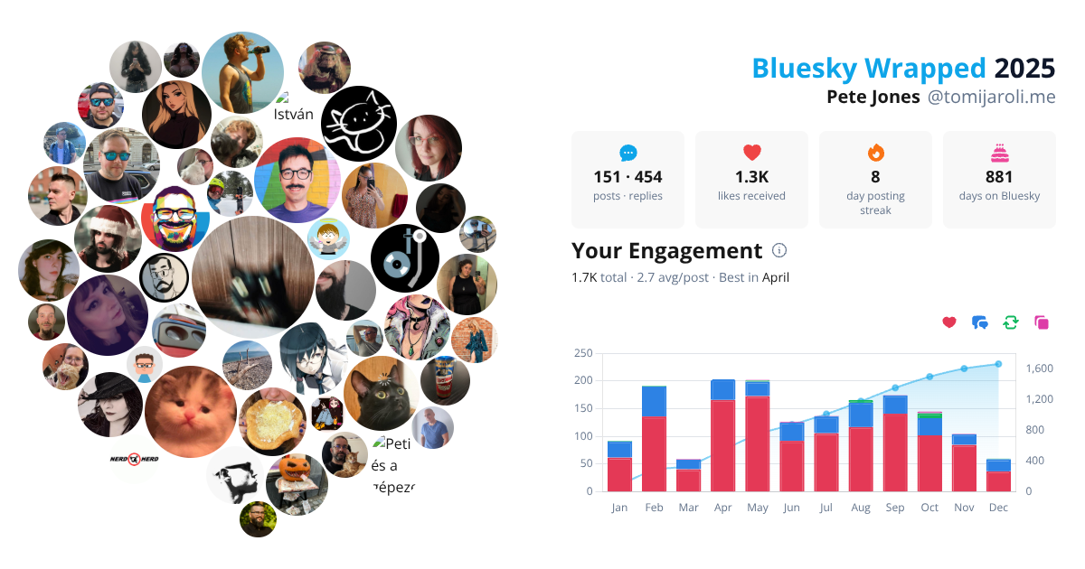 Your Bluesky Wrapped 2025 preview