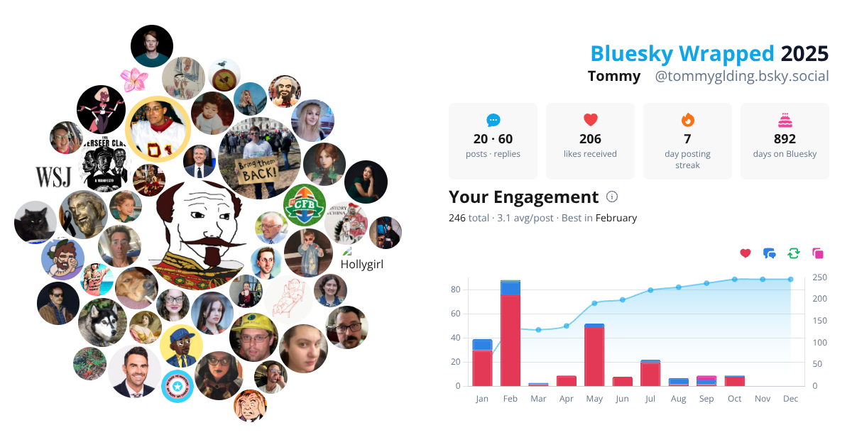 Your Bluesky Wrapped 2025 preview