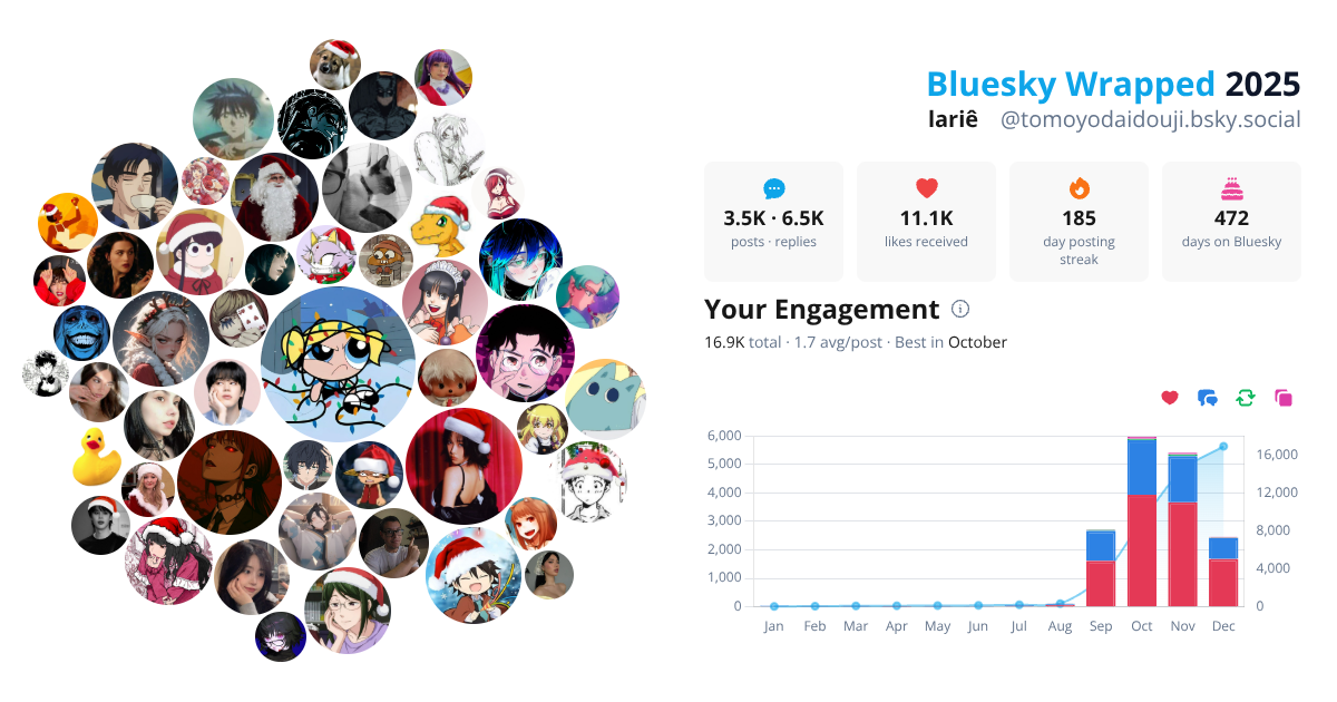 Your Bluesky Wrapped 2025 preview