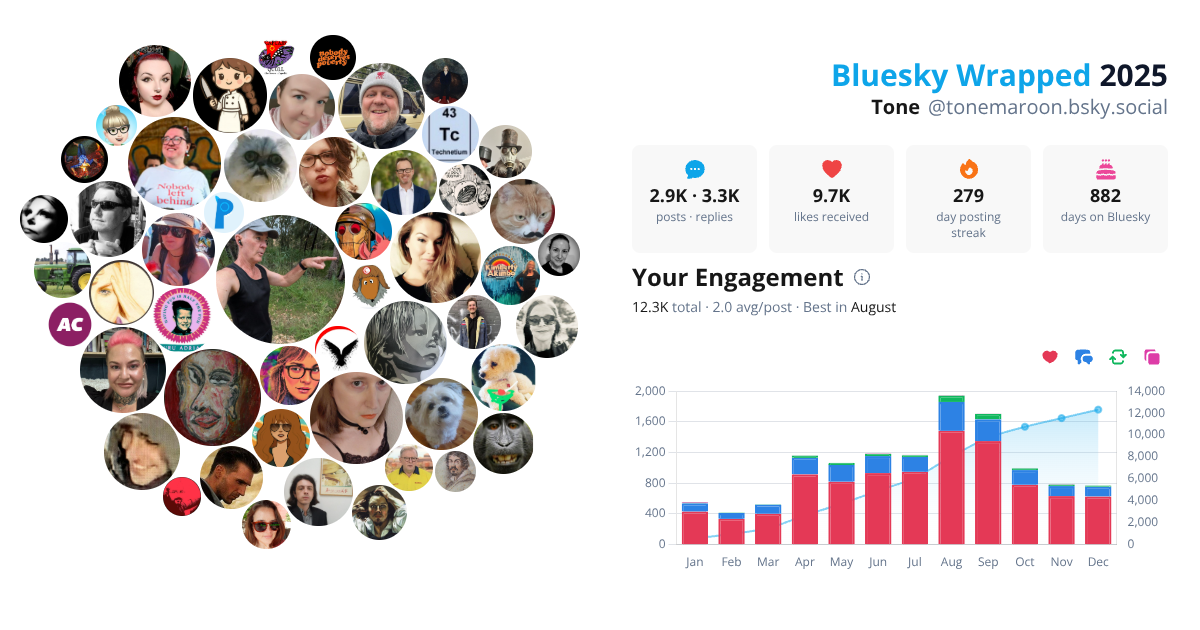 Your Bluesky Wrapped 2025 preview
