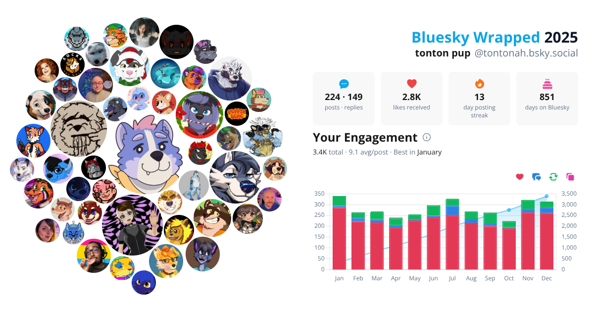 Your Bluesky Wrapped 2025 preview