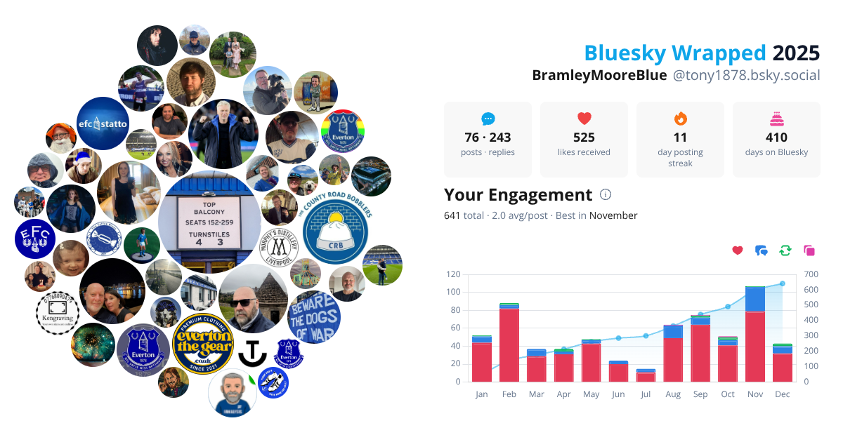 Your Bluesky Wrapped 2025 preview