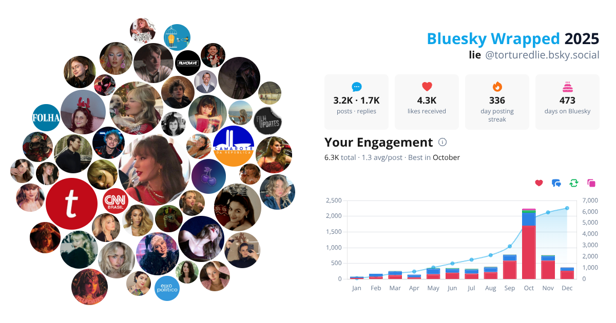 Your Bluesky Wrapped 2025 preview