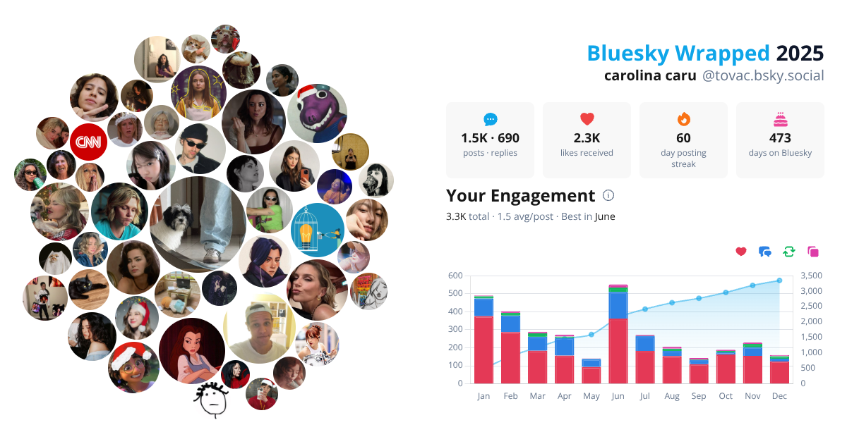 Your Bluesky Wrapped 2025 preview