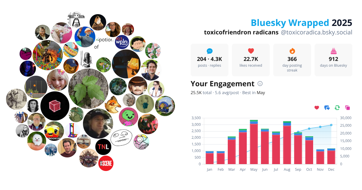 Your Bluesky Wrapped 2025 preview