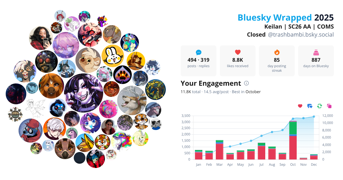 Your Bluesky Wrapped 2025 preview