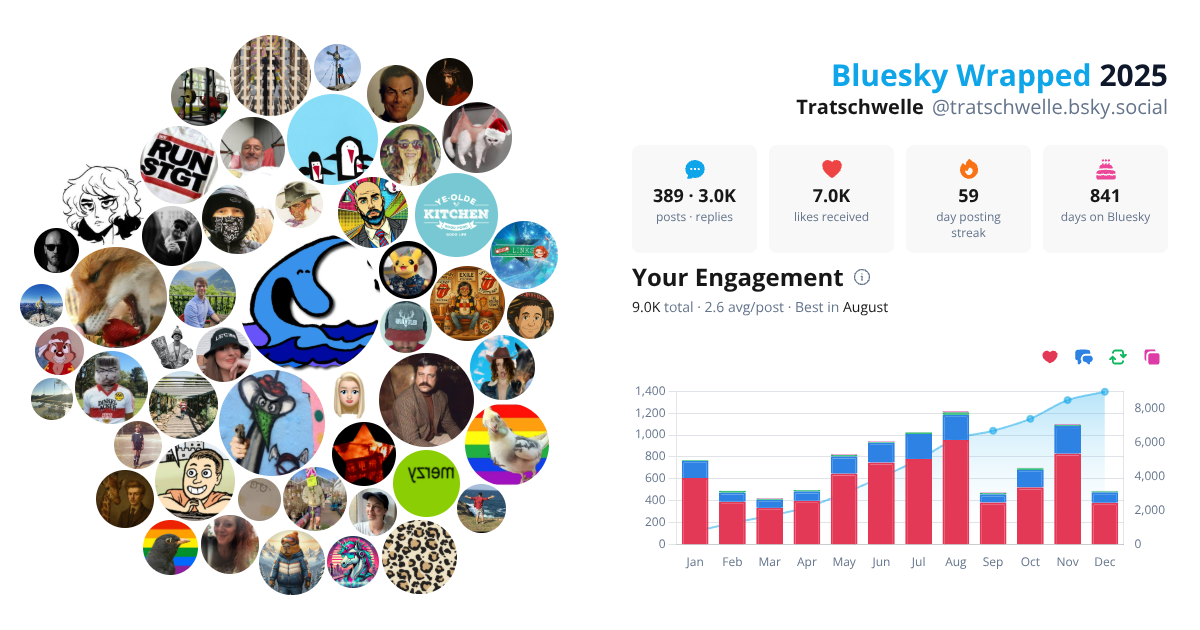 Your Bluesky Wrapped 2025 preview