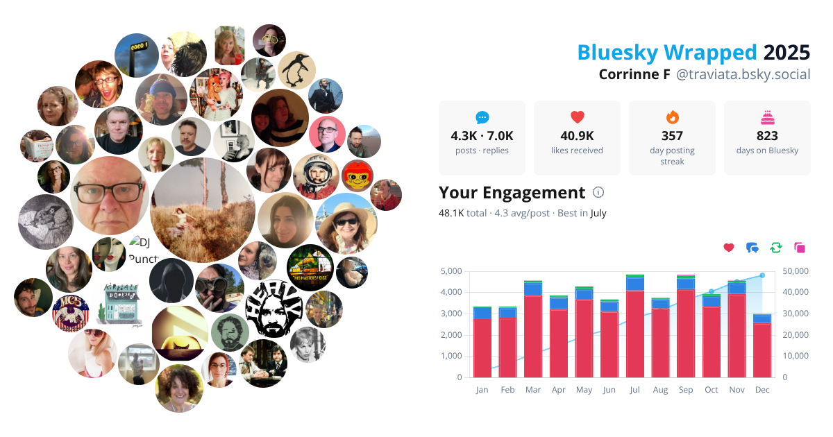 Your Bluesky Wrapped 2025 preview