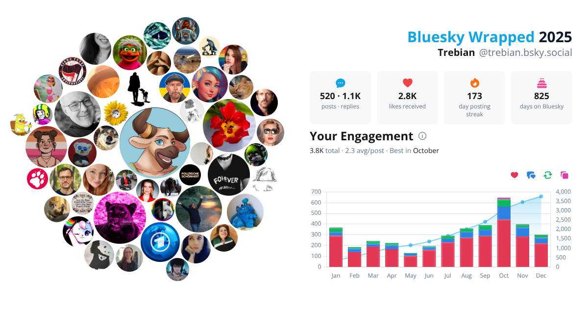 Your Bluesky Wrapped 2025 preview