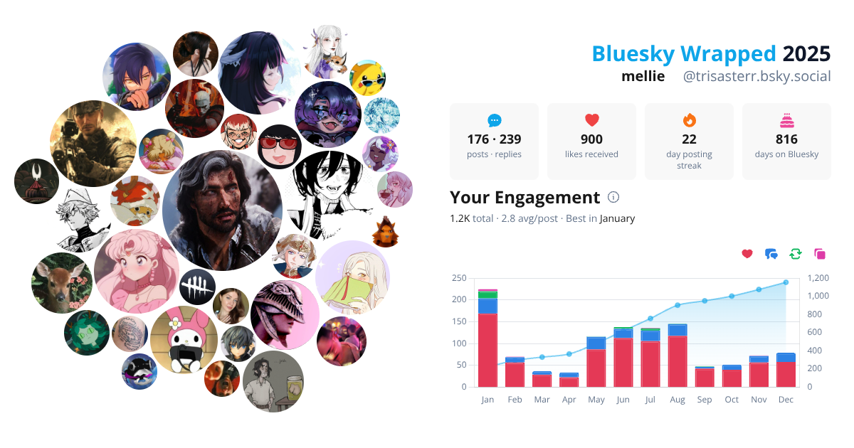 Your Bluesky Wrapped 2025 preview