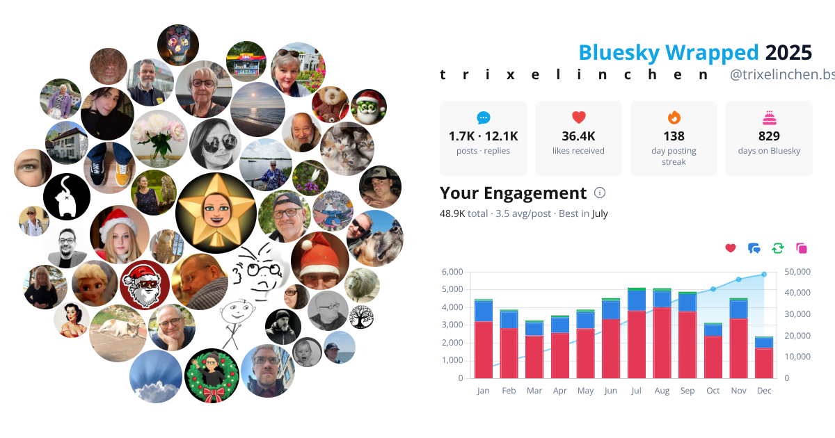 Your Bluesky Wrapped 2025 preview