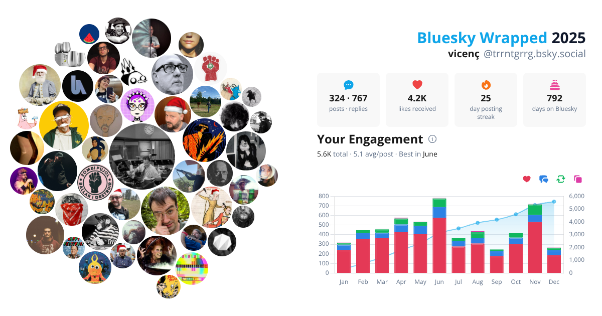 Your Bluesky Wrapped 2025 preview