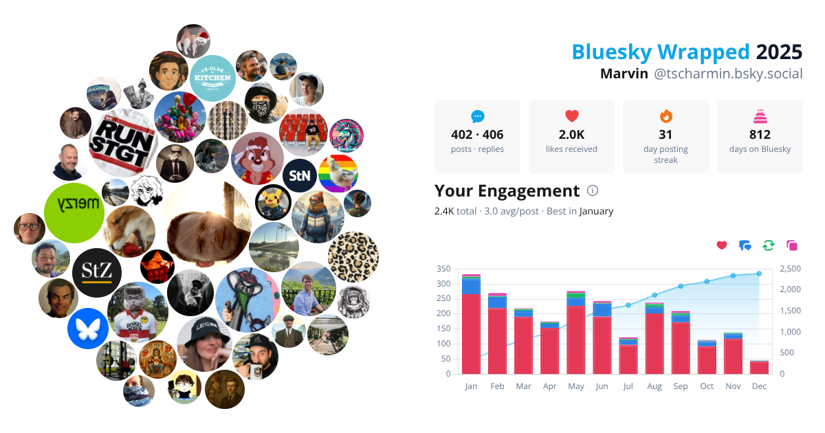 Your Bluesky Wrapped 2025 preview