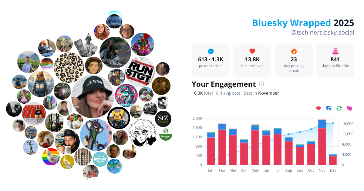 Your Bluesky Wrapped 2025 preview
