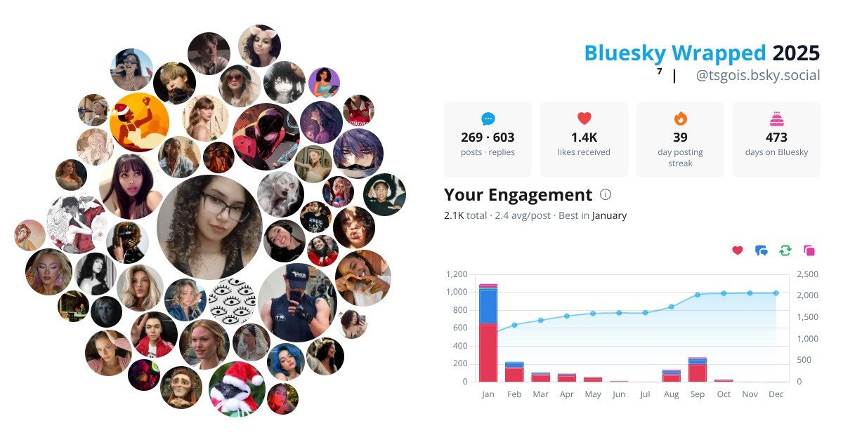 Your Bluesky Wrapped 2025 preview
