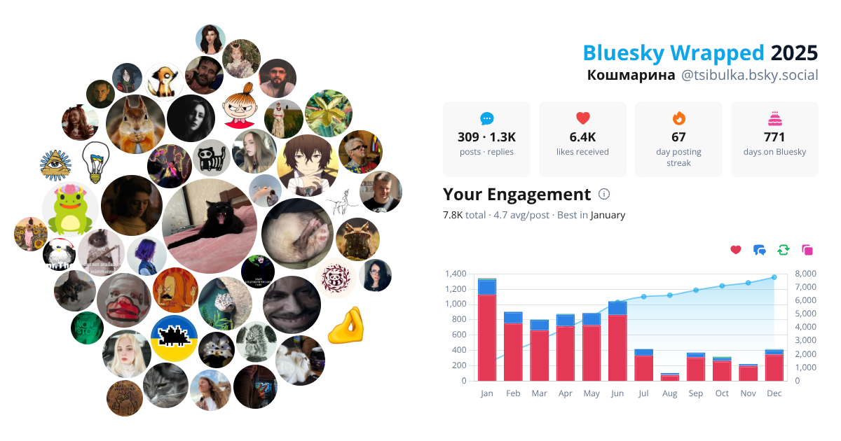 Your Bluesky Wrapped 2025 preview