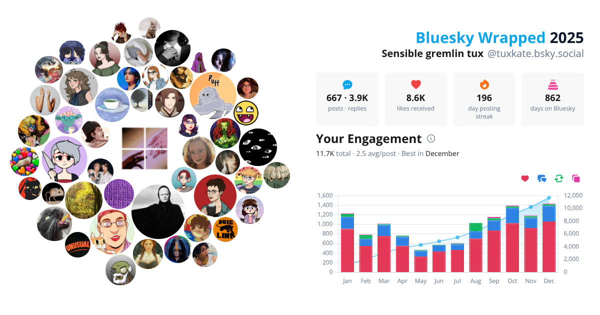 Your Bluesky Wrapped 2025 preview