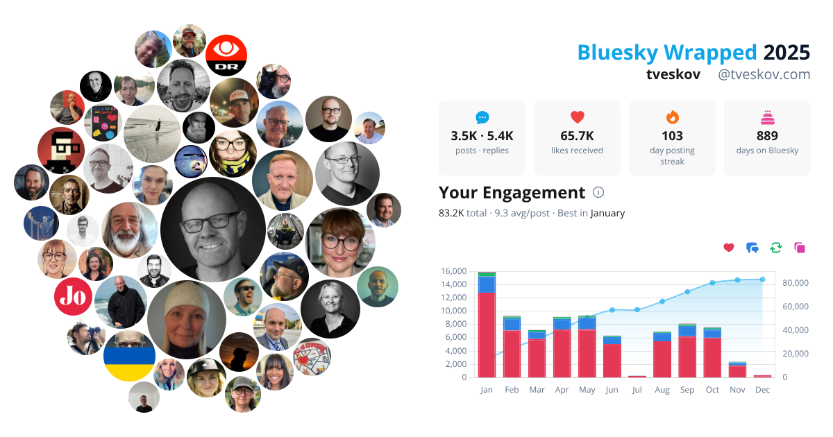 Your Bluesky Wrapped 2025 preview