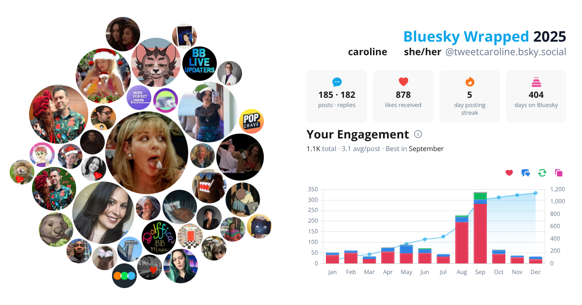 Your Bluesky Wrapped 2025 preview