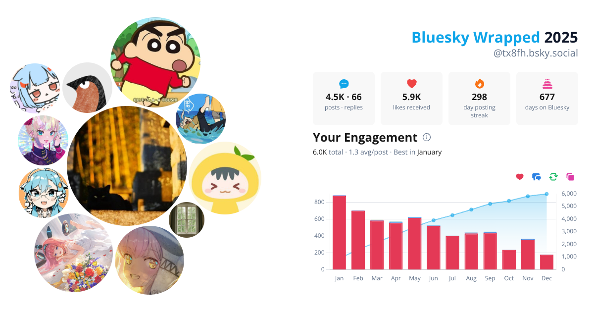 Your Bluesky Wrapped 2025 preview