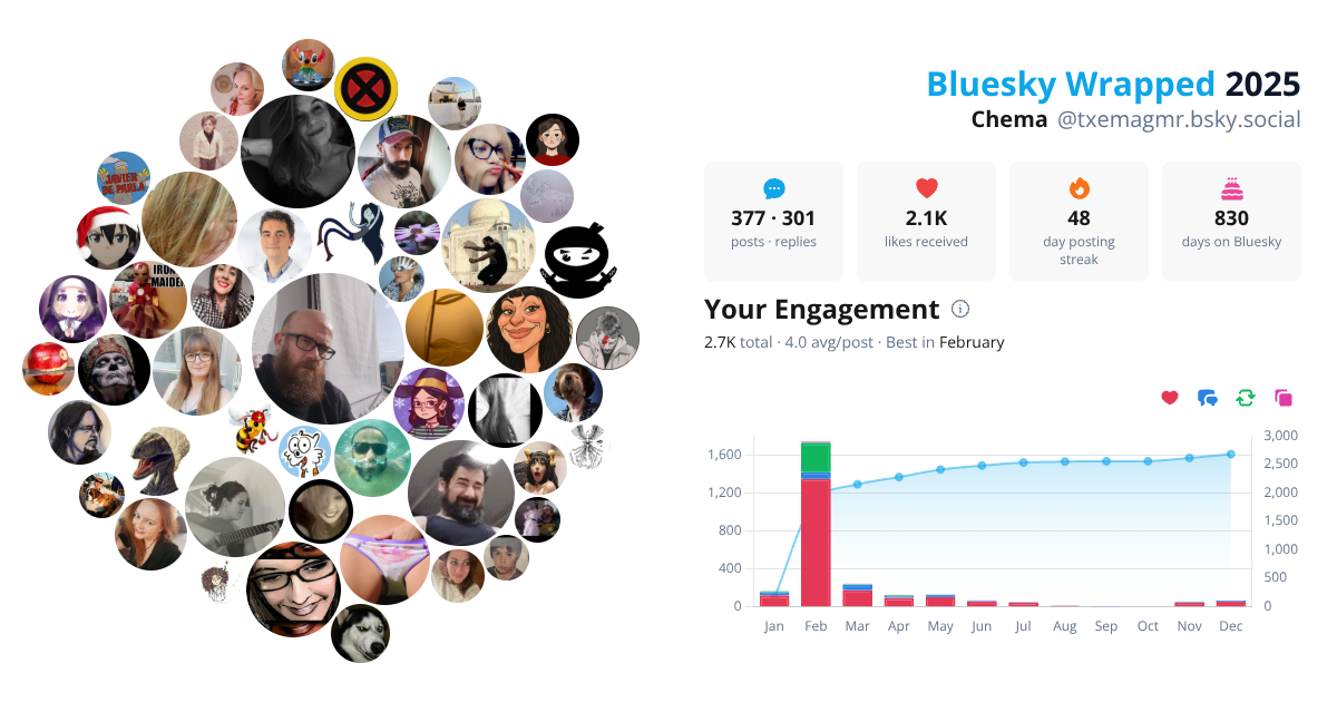 Your Bluesky Wrapped 2025 preview