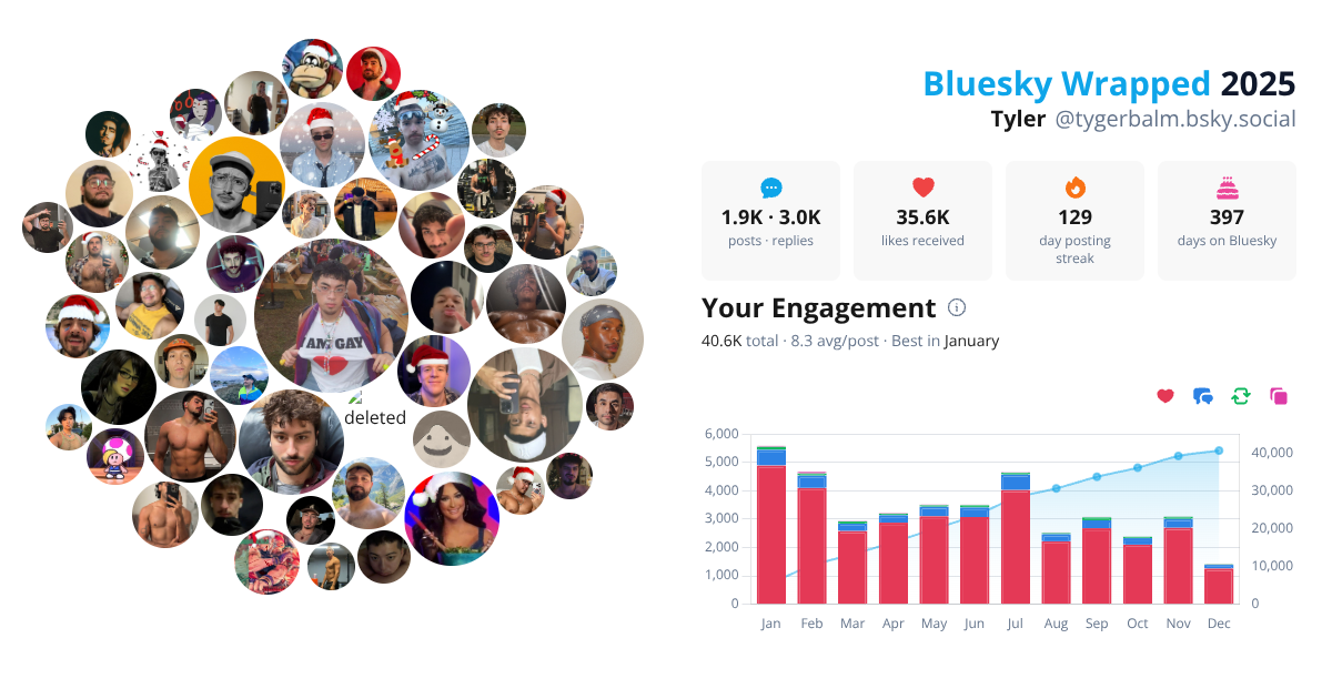 Your Bluesky Wrapped 2025 preview