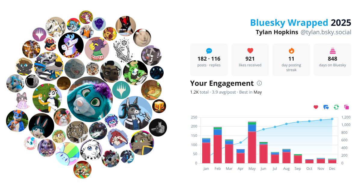 Your Bluesky Wrapped 2025 preview