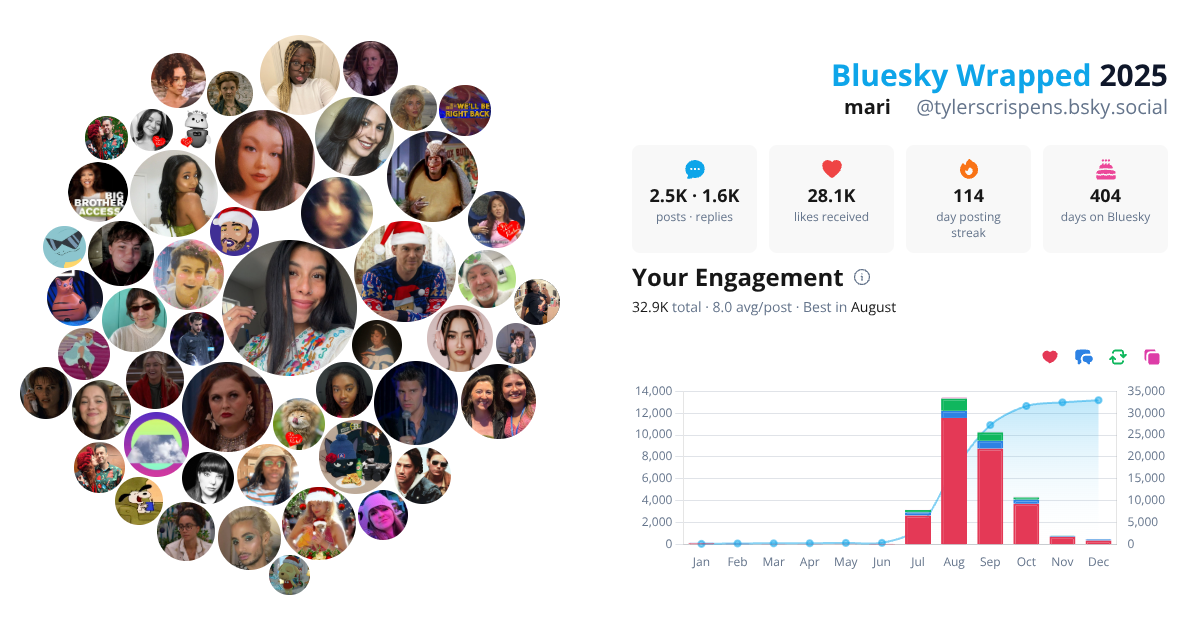 Your Bluesky Wrapped 2025 preview