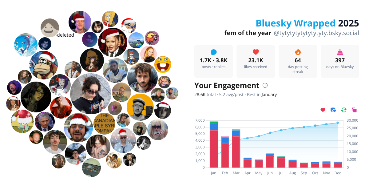 Your Bluesky Wrapped 2025 preview