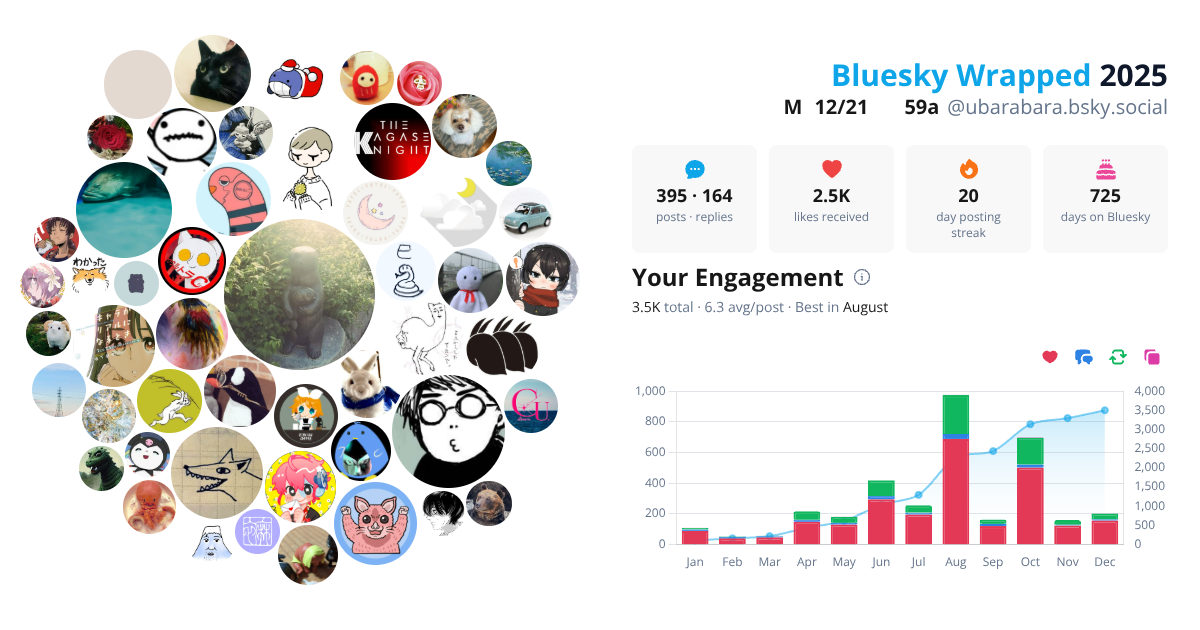 Your Bluesky Wrapped 2025 preview