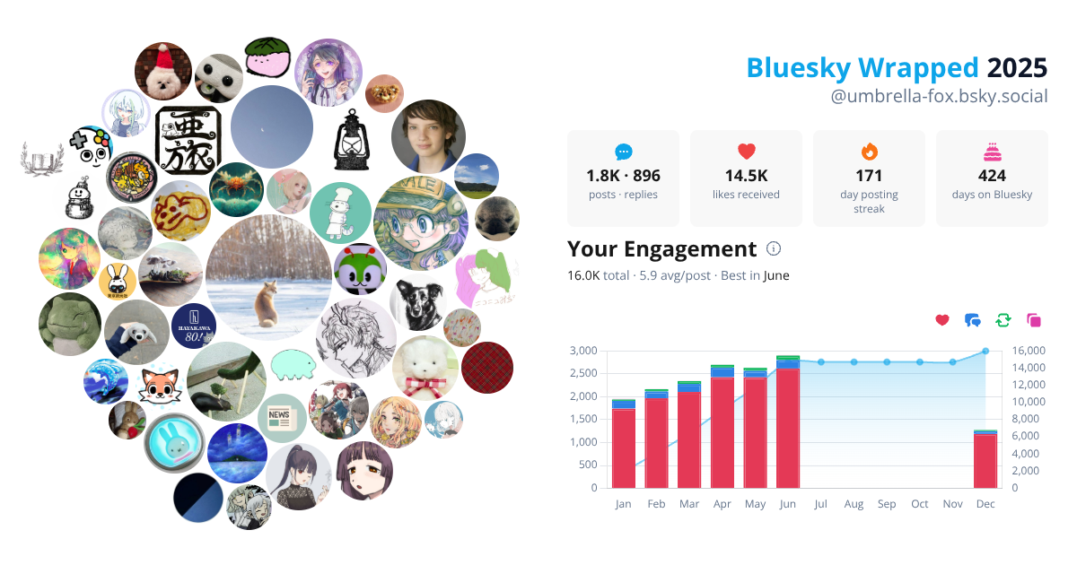 Your Bluesky Wrapped 2025 preview