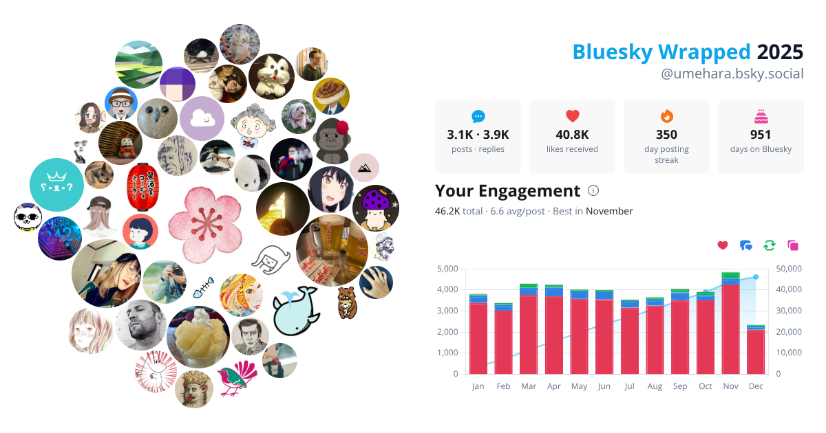 Your Bluesky Wrapped 2025 preview