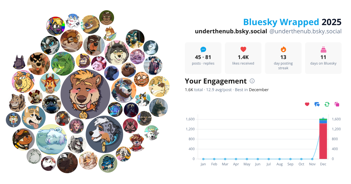 Your Bluesky Wrapped 2025 preview