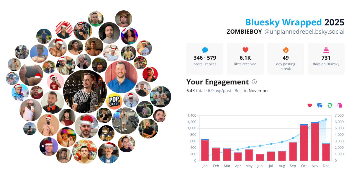 Your Bluesky Wrapped 2025 preview